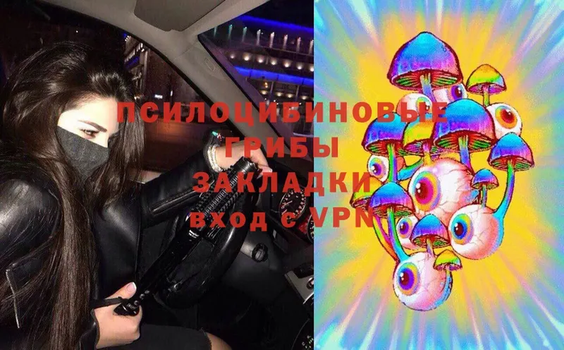 Псилоцибиновые грибы Magic Shrooms  Анадырь 